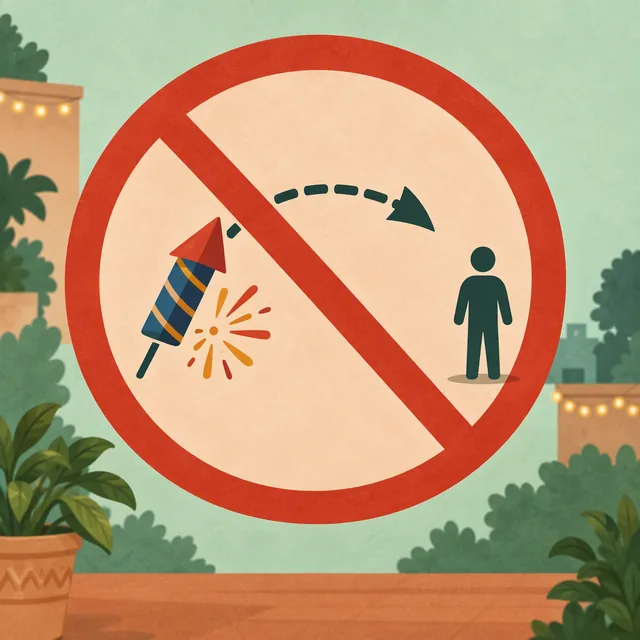 A crossed-out throwing symbol warns against throwing fireworks.